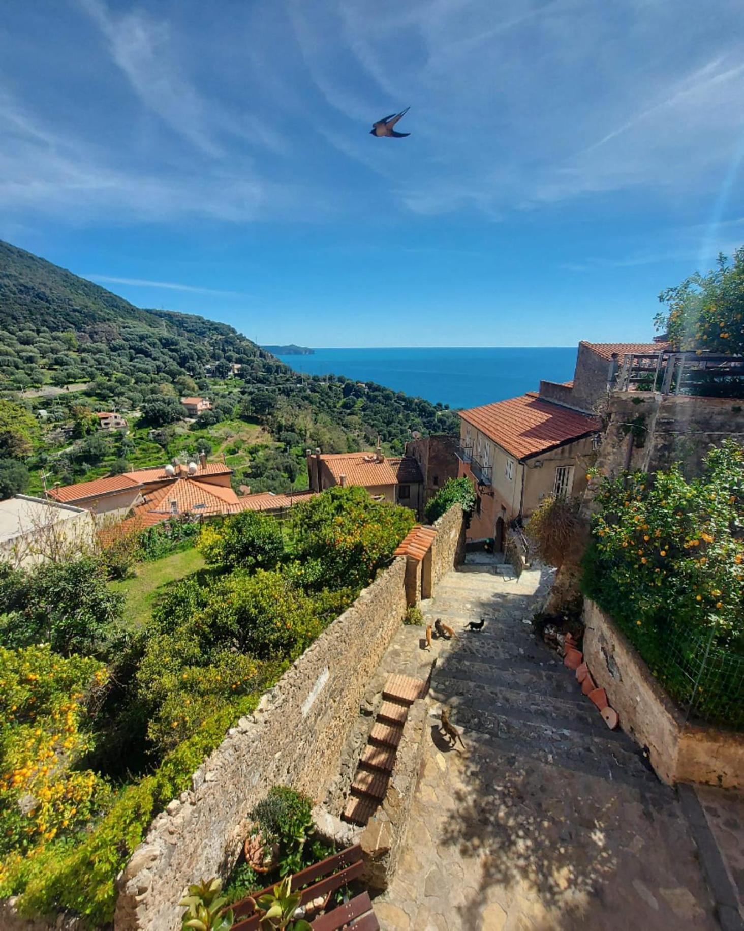 La Casa Sul Blu Albergo Diffuso Pisciotta Exteriör bild